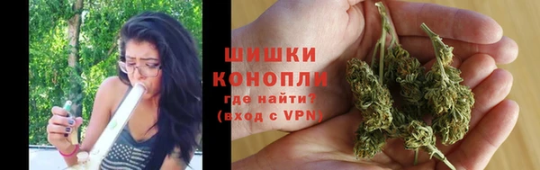 тгк Гусь-Хрустальный