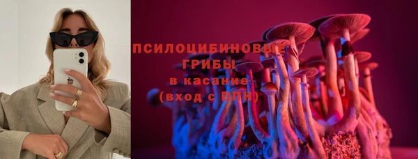 а пвп мука Гусев