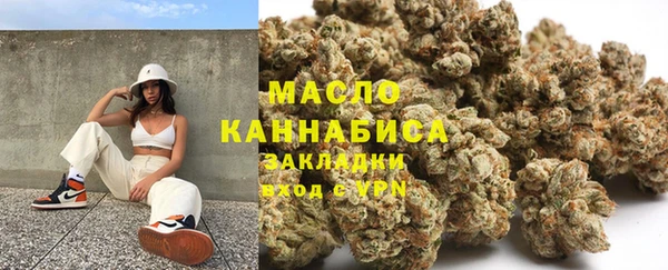 тгк Гусь-Хрустальный