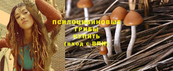 СК Гусиноозёрск