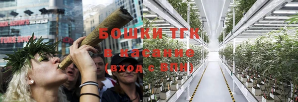 тгк Гусь-Хрустальный