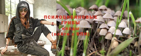 тгк Гусь-Хрустальный