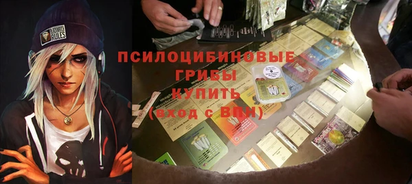 тгк Гусь-Хрустальный
