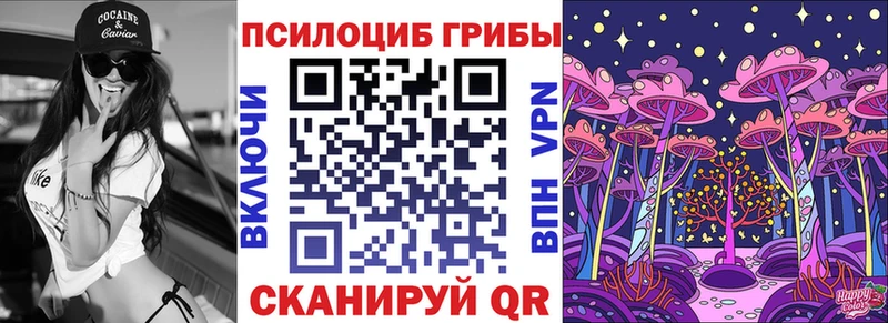 Купить закладки  Партизанск  Галлюциногенные грибы Psilocybine cubensis 